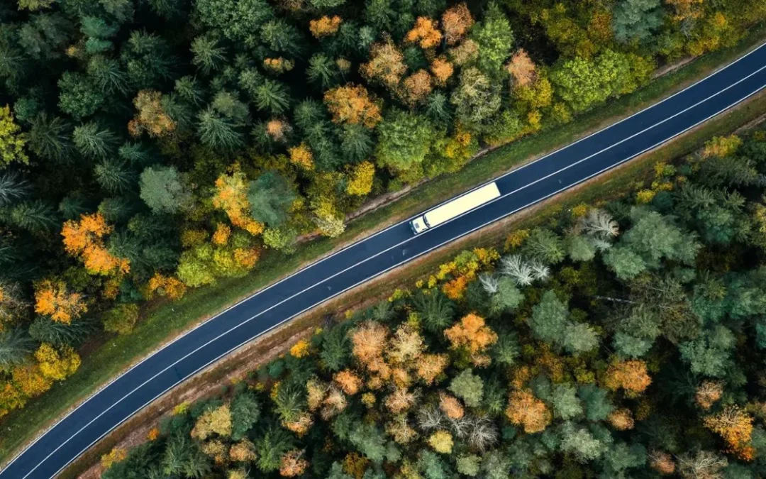 Is Your Organisation Losing Millions Due to a Weak Procurement Strategy?