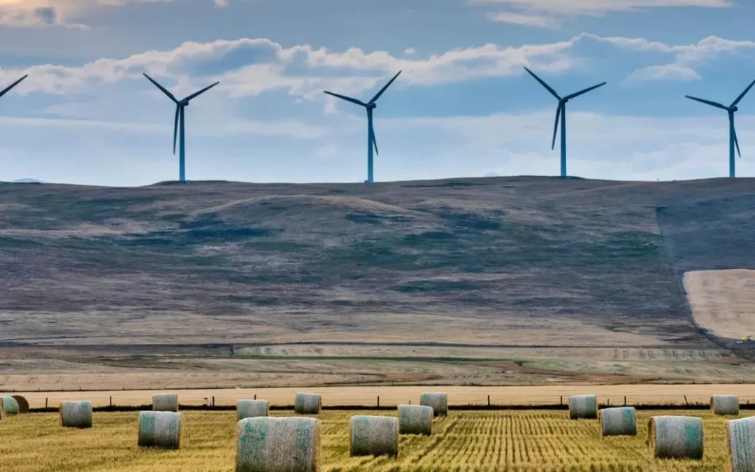 4 Reasons Why Sustainability Is Key to Commercial Success