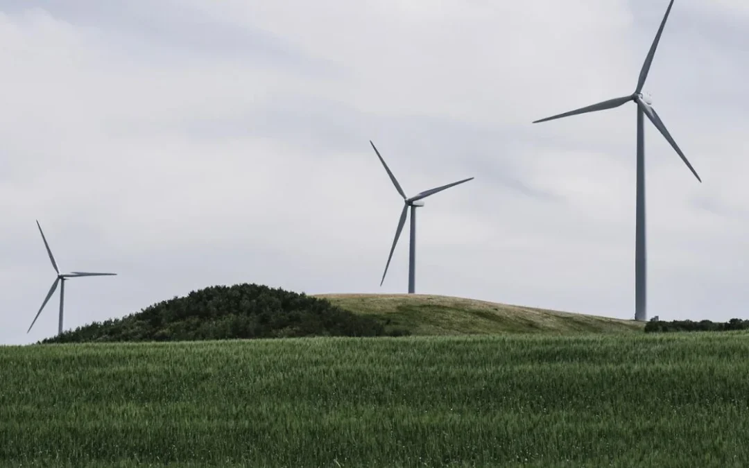 A COP-Out or Common Sense? The Wait for a COP-Led Global Carbon Market Continues