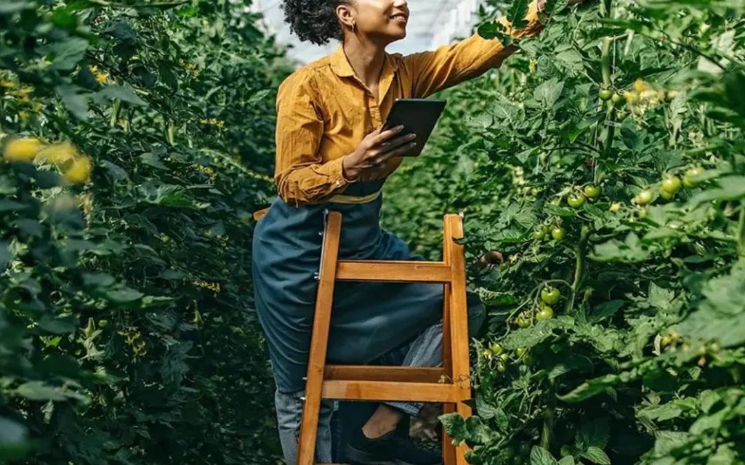 How Can Food Manufacturers Work Towards Net Zero? The Challenge of Tackling Scope 3 Emissions