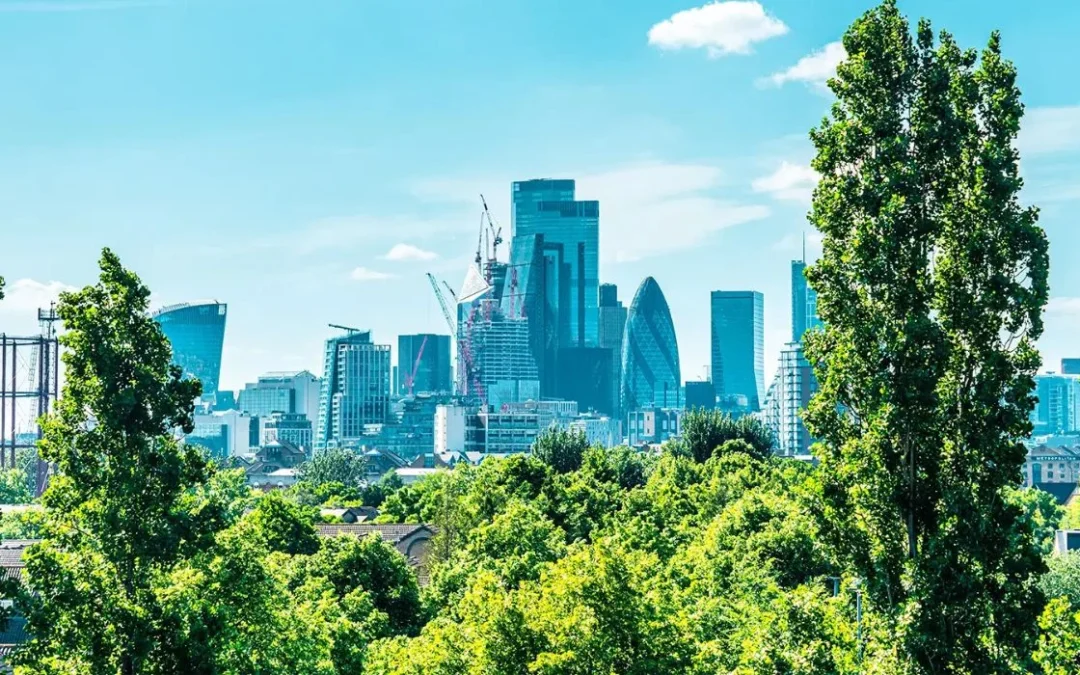 Environmental Commitments and Cost Efficiency: One or the Other, or the Best of Both?