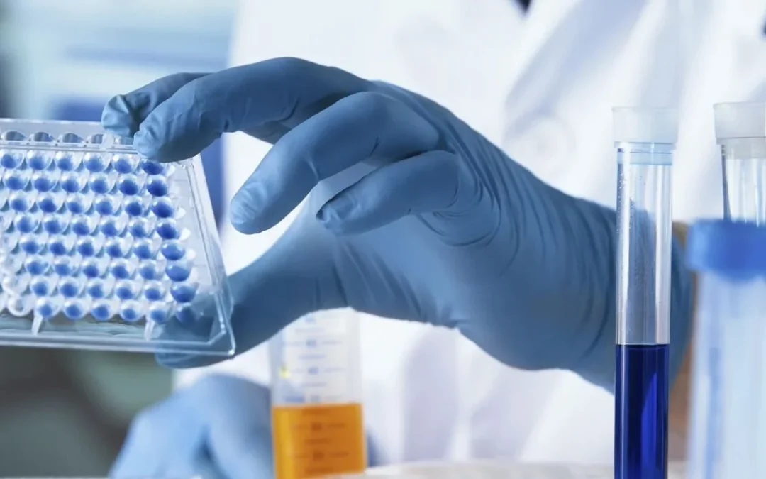 What Does the Future Hold for R&D Outsourcing in 2024 and The Years to Come?